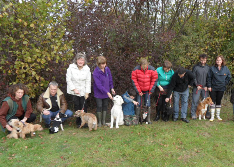Puppy Improvers Class</br>on Thu 30 November 2023</br>Starts at 11:30